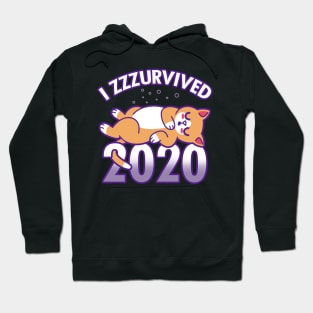 Funny I Survived 2020 Pandemic Sleeping Cat Funny Cat Meme Hoodie